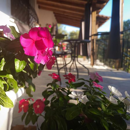 Vergia Studios Sozopoli Exterior foto