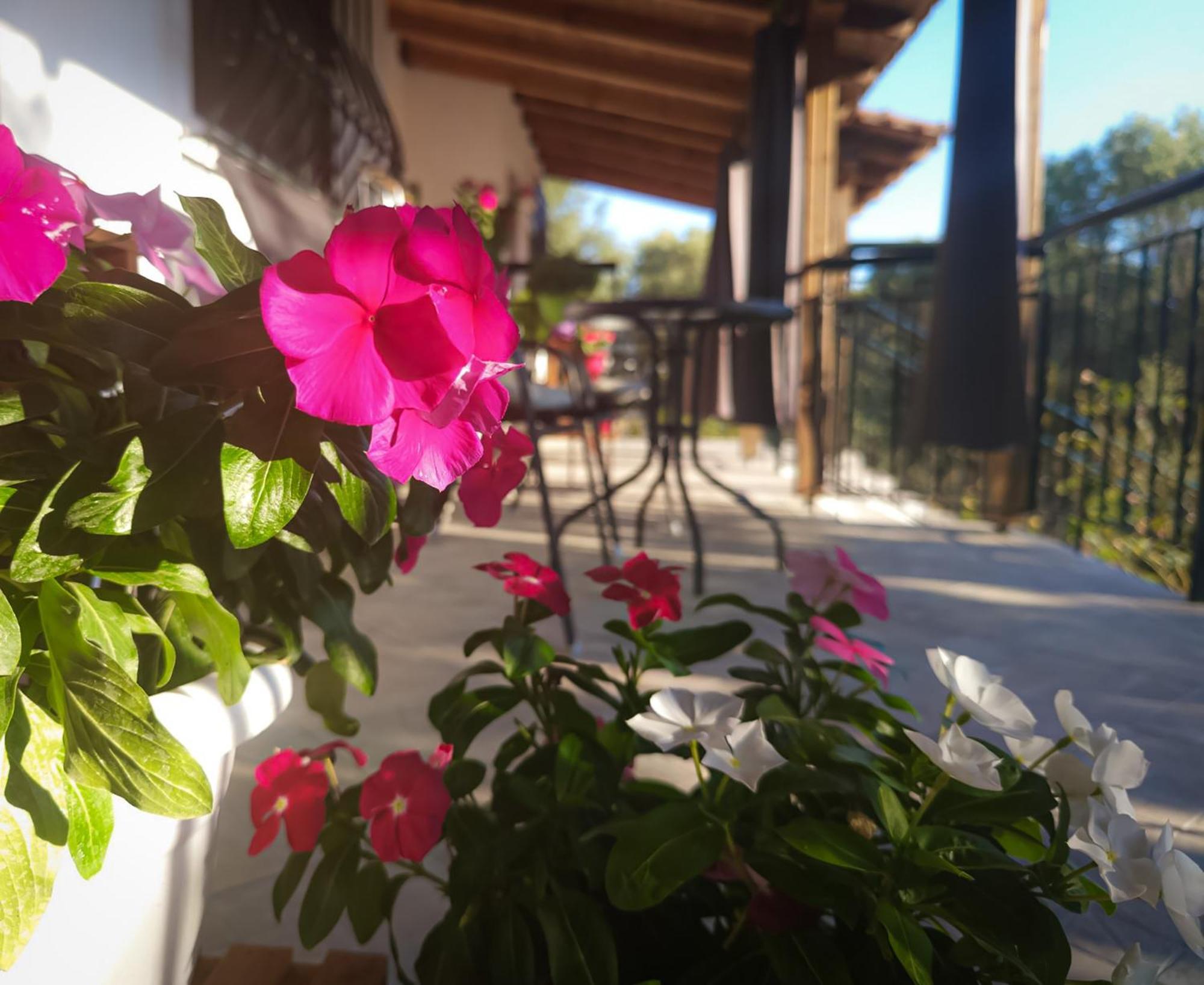 Vergia Studios Sozopoli Exterior foto